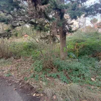 زمین ساحلی 420 متری با کاربری مسکونی|فروش زمین و ملک کلنگی|چابکسر, |دیوار