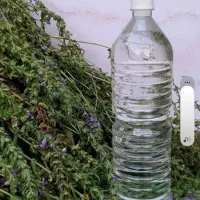 عرقیات پونه بادرنجبویه نعا