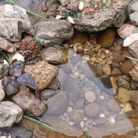 داش (سنگ)|جواهرات|پارس‌آباد, |دیوار