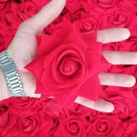 *گل رز سوپر قطر۱۴ سانت مخمل*|گل مصنوعی|سیاهکل, |دیوار