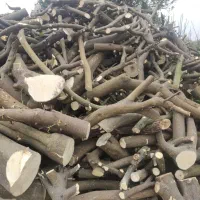 جدب نیروی برشکار