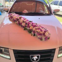 گلسرای علیسان|گل و گیاه طبیعی|بهبهان, |دیوار