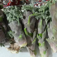 قاسمی گنبو فروشی