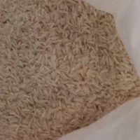 برنج هاشمی لنگرود