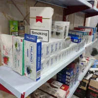 الغدیر نبش بهار نهم|عمده‌فروشی|دورود, |دیوار