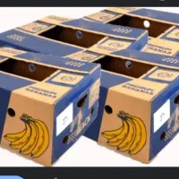 جعبه و کارتن موز