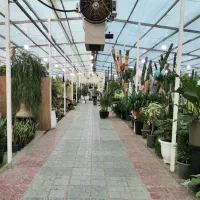 فروشنده محدوده آجودانیه