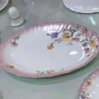 سرویس غذاخوری فرانسه