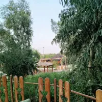 فست فود کار ناپولیتن