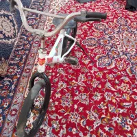 دوچرخ 16|دوچرخه، اسکیت، اسکوتر|تربتحیدریه, بوستان باغ ملی|دیوار