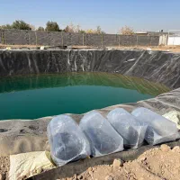 انواع ماهی امور پرورشی