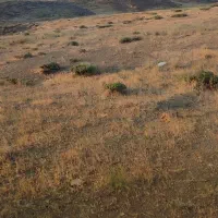 زمین ۴۰۰ متری|فروش زمین و ملک کلنگی|عنبران, |دیوار