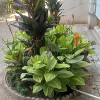 استخدام نظافتچی، باغبان