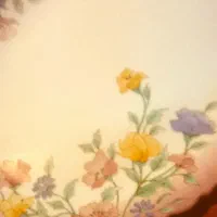 ارکوپال الیزه اصل ۲عدد دیس و۱عددسوپ خوری سالم|ظروف سرو و پذیرایی|تهران, ائمه اطهار|دیوار