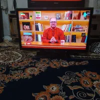 تلویزیون الیدی
