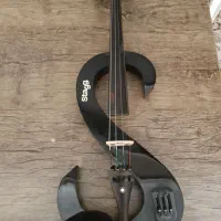 ویولن،الکتریک،ویلن،ویولون،ویالون