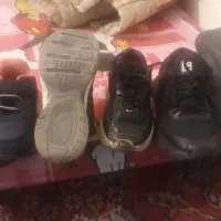 ۳جفت کفش