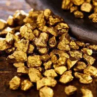 گلدیکا رونصب کن وطلا هدیه بگیر