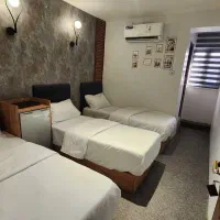 کربلا ولادت نجف هستیم (6و8و10و15دی)