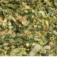 ذرت علوفه ی سبز|حیوانات مزرعه|چمران, |دیوار