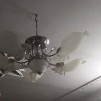 لوستر درحد نو