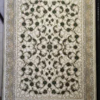 با شکوه زیر پای شما