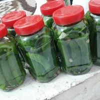 خیار شور خانگی سنتی تازه