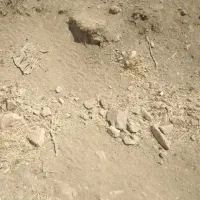 زمین مسکونی سند تک برگ پشت ناسیونال