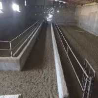 فروش دامداری ودامپروری