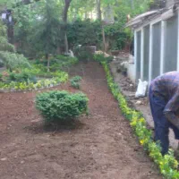 خدمات باغبانی باغچه کاری گل کاری تعویض خاک گلدان