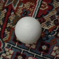 سنگ آسیاب