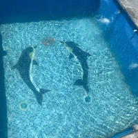 ویلامدرن نقلی۱۸۰زمین۱۵۰بنا فرصتی جذاب*در مهراباد*