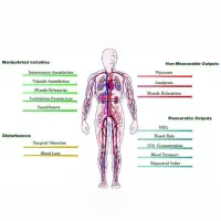 حجامت و طب سنتی در مطب پزشک