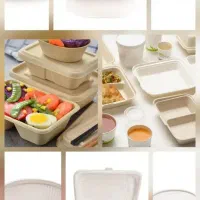 ظروف یکبار مصرف و گیاهی وماکروفری