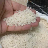 برنج ایرانی هاشمی عطری،صدری،مروارید خوشپخت|خوردنی و آشامیدنی|رباطکریم, الارد|دیوار