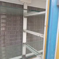 یخچال ویترینی فروشگاهی خورموج|فروشگاه و مغازه|خورموج, |دیوار