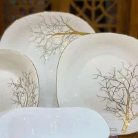 ارکوپال تکی وتعداد بالا به قیمت مناسب|ظروف سرو و پذیرایی|ری, ملک‌آباد|دیوار