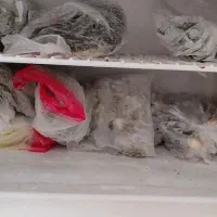 فروش یخچال وفریزر