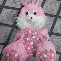 عروسک درحدنو