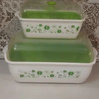 جانونی و جا سبزی