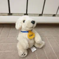 وسایل منزل|حراج|مشهد, هنرستان|دیوار