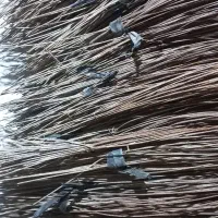 سیم باغی سیم کشاورزی سیم باغی تمیز عالی|خدمات باغبانی و درختکاری|شوشتر, |دیوار