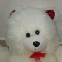 خرس سفید|اسباب‌بازی بچه|تبریز, |دیوار