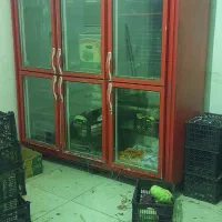 یخچال ویترینی ۶درب یطرف نما