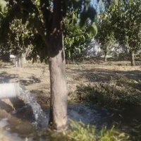باغ وباغچه آده بزرگ|فروش خانه و ویلا|نوشین شهر, |دیوار