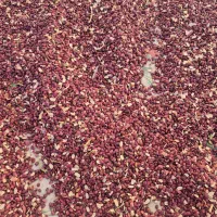 لوبیا قرمز لپه