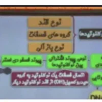 تدریس آنلاین زیست دوازدهم تجربی با50 درصد تخفیف|خدمات آموزشی|ایلام, |دیوار