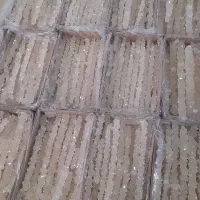 تولید نبات ارگانیک بدون بلانکیت