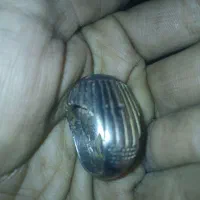 انگشتر نقره عقیق سوسنی|بدلیجات|بروجن, |دیوار