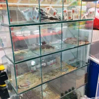 فروش لوازم سوپرمارکت وخشکبار